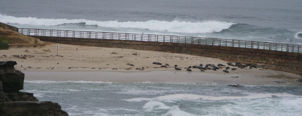 La Jolla Cove and the Children’s Pool La Jolla Cove and the Children’s Pool