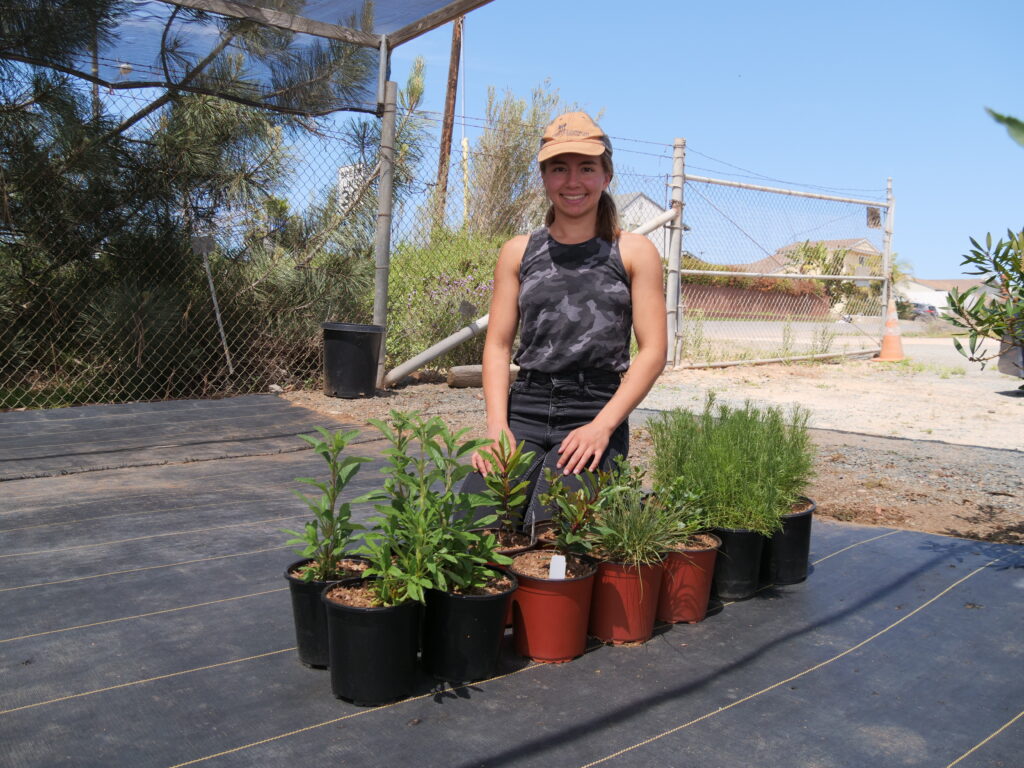 15 Plants Ready for the MEA Native Garden