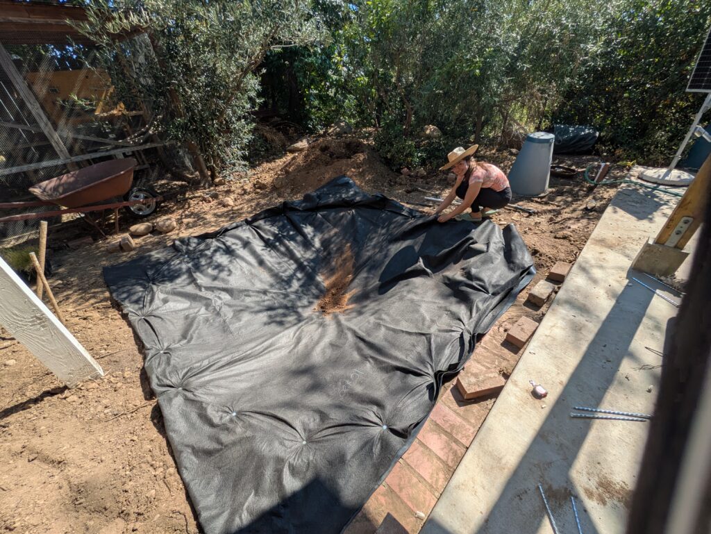 PXL_20250628_230158674