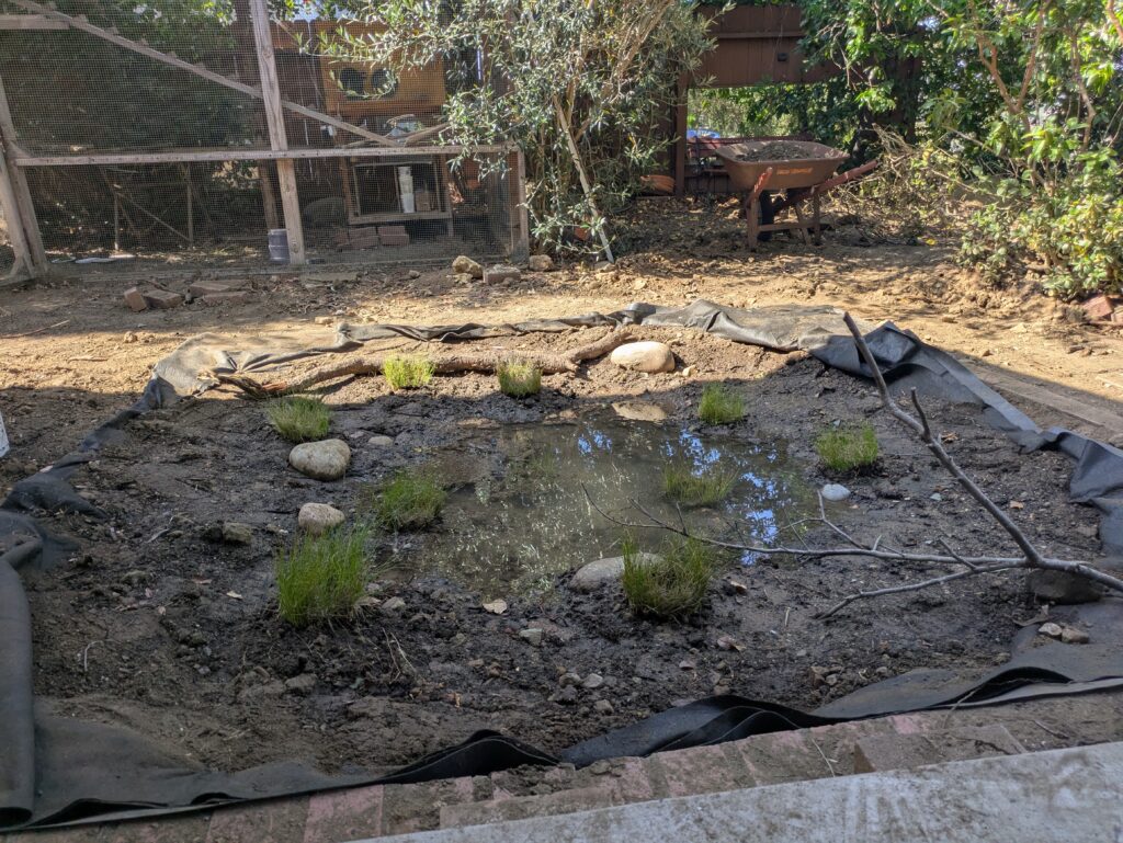 Before Liner was Trimmed (June 29)