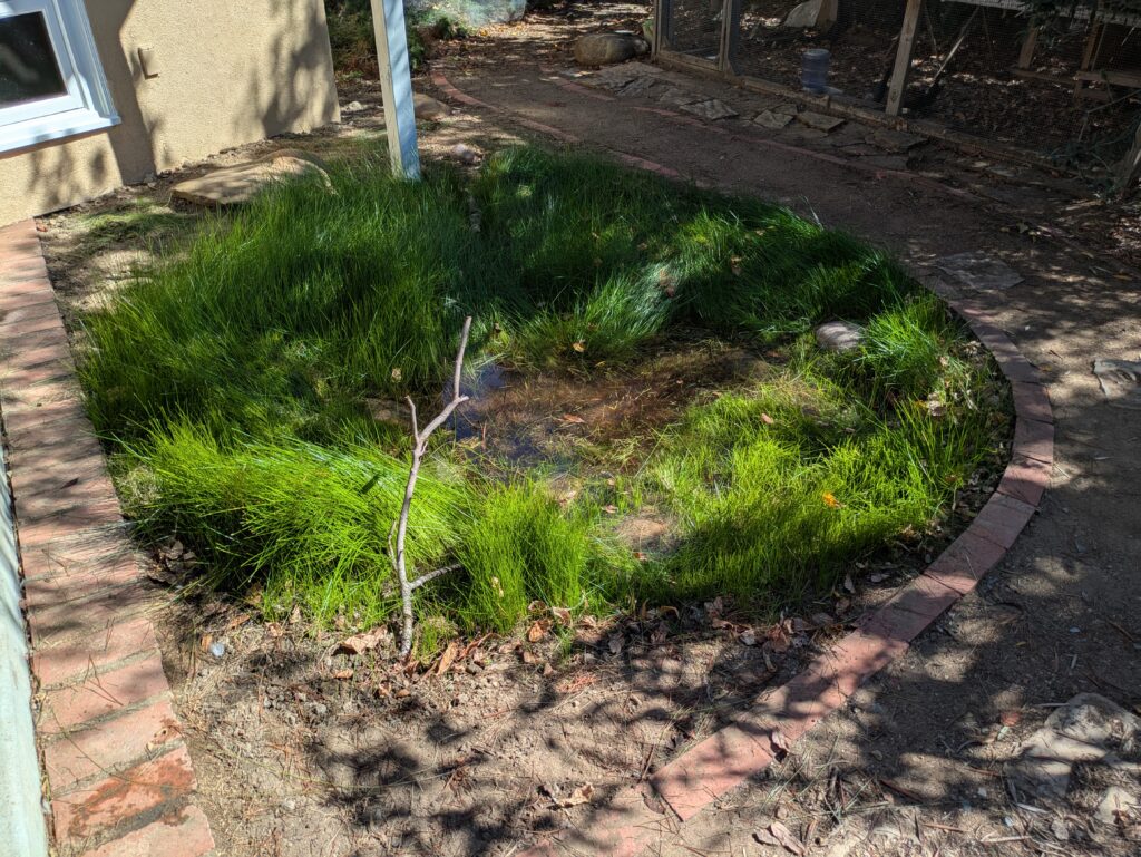 October 2025 (After Trimming)