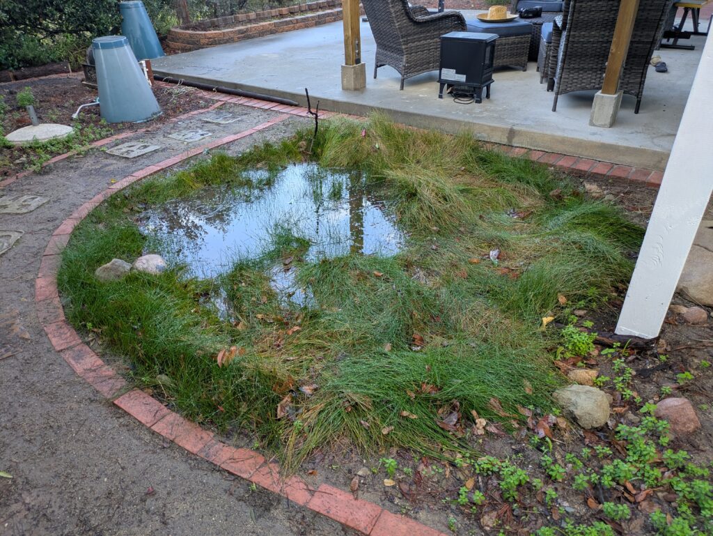 January 2026 (After Trimming)